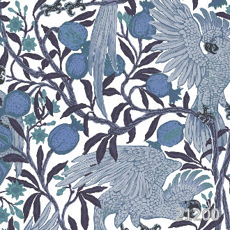 Пернатое царство