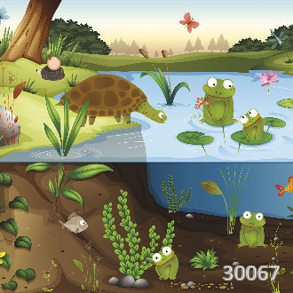 Сказочный прудик