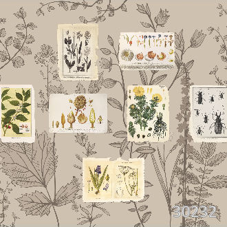 Из ботанической энциклопедии