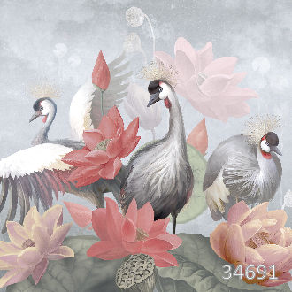 Венценосные аисты на природе