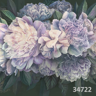 Цветущие пионы