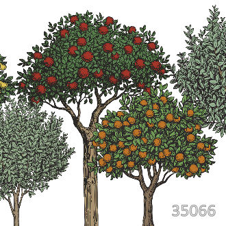 Летние дары