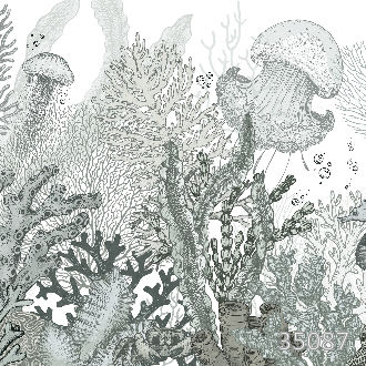 На просторах океана