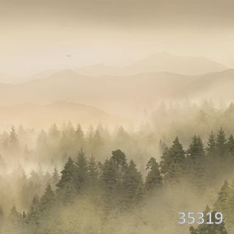 Лес в утреннем тумане