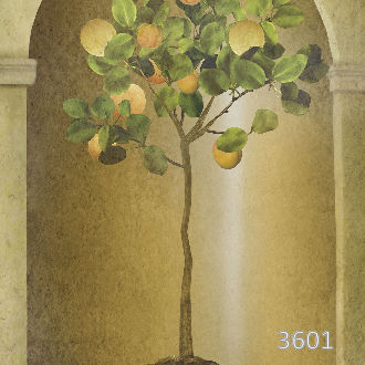 Персиковое дерево